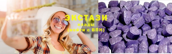 дживик Богородицк