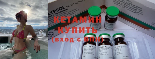 дживик Богородицк