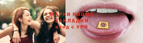дживик Богородицк