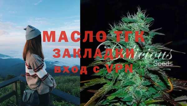 дживик Богородицк