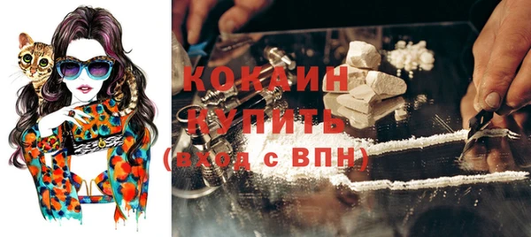 соль ск Богородск