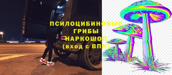 дживик Богородицк