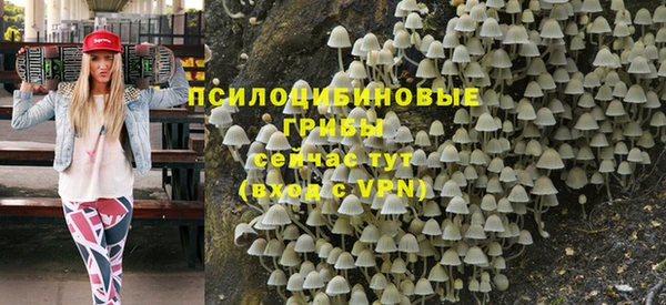 дживик Богородицк