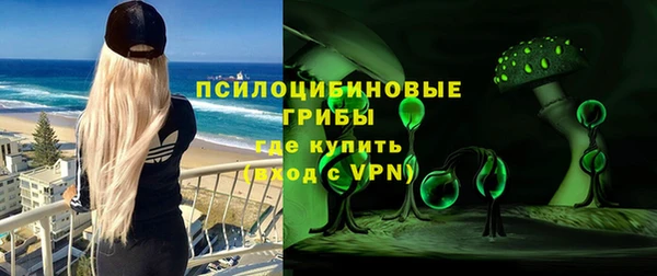 винт Богданович