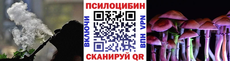 продажа наркотиков  Дюртюли  гидра вход  Галлюциногенные грибы прущие грибы 